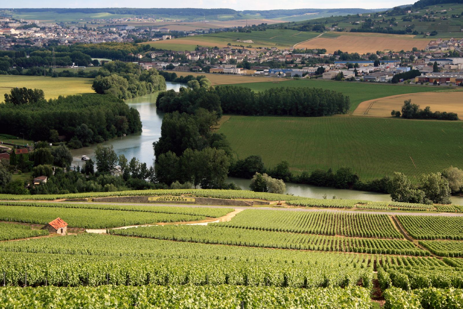Wijngaarden bij Hautvillers en Cumières met de Marne in de verte